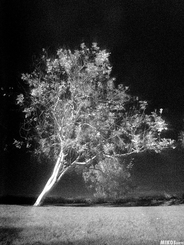 MIKOSarts's tweet image. Black &amp;amp; White Photography #photography #followart #photo #art #mikos #arts #blackandwhite #fineart #twitart #arttwit