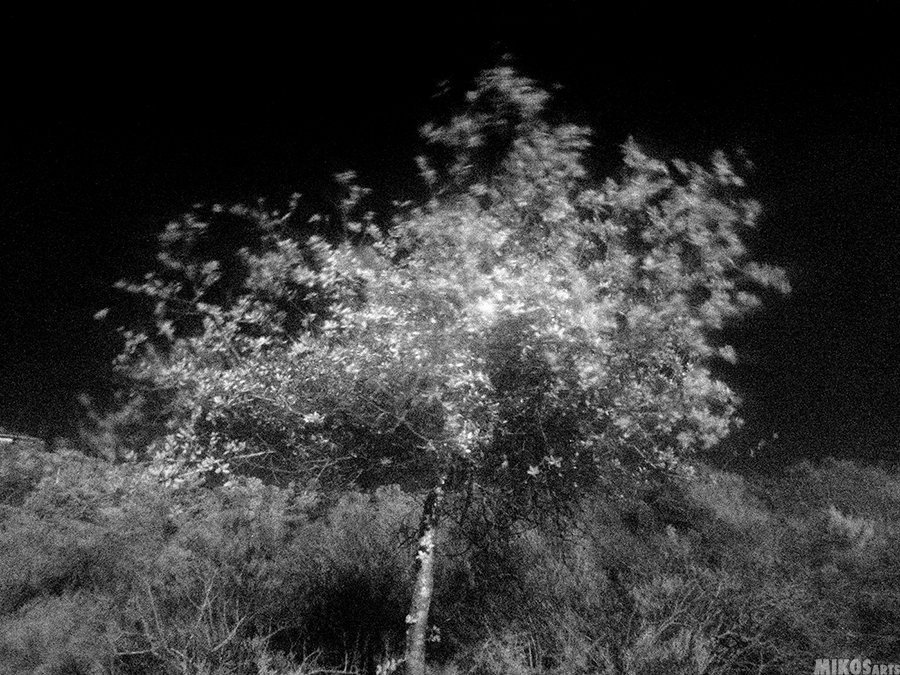 MIKOSarts's tweet image. Black &amp;amp; White Photography #photography #followart #photo #art #mikos #arts #blackandwhite #fineart #twitart #arttwit