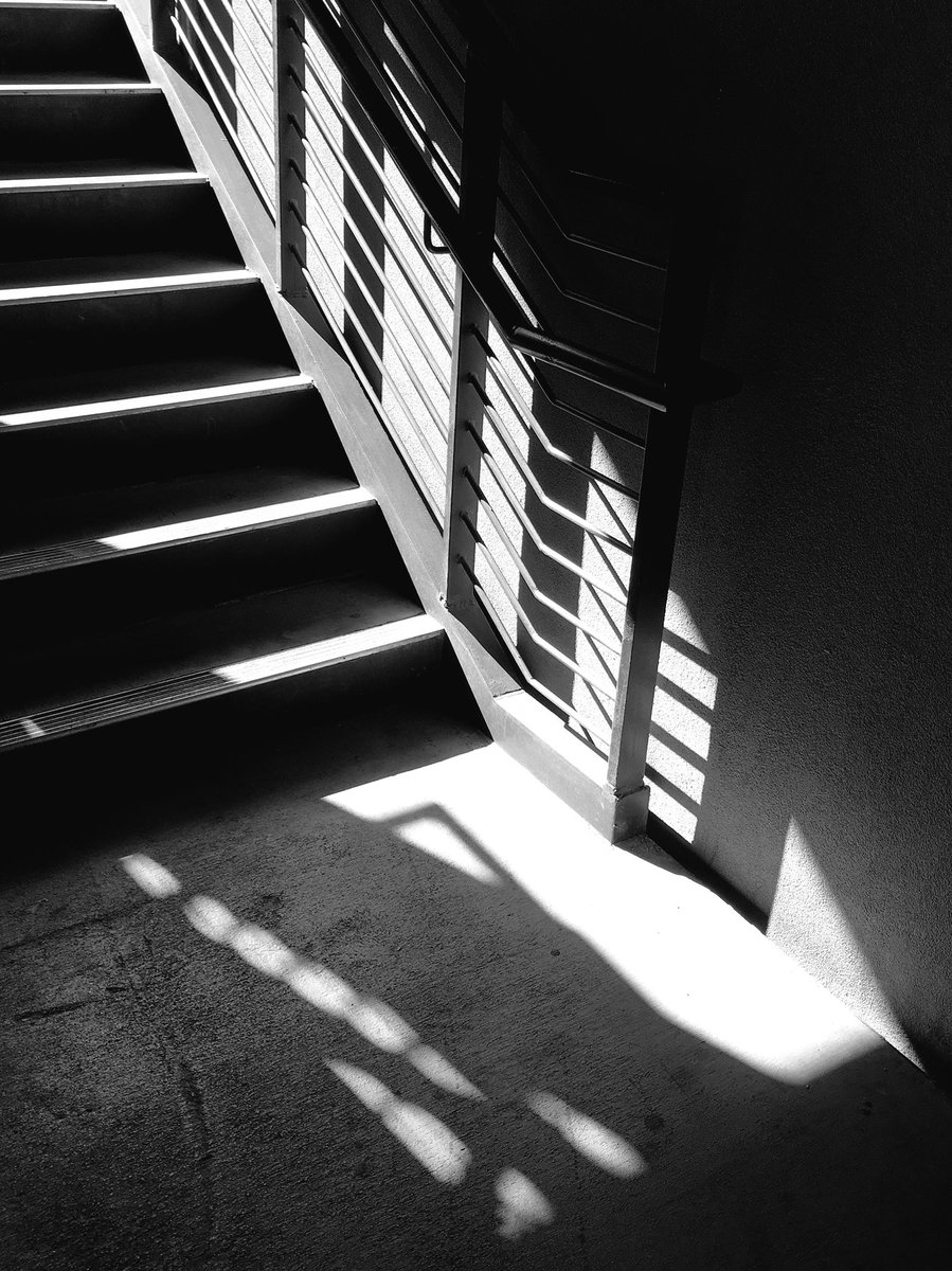 davidbmoore's tweet image. Light in a momentary position #blackandwhite