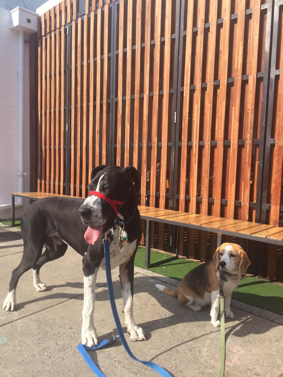 IzzyandCooper's tweet photo. Just stopping for a morning brew after a long walk along the waterfront with B. #leroys #newport #springishere https://t.co/pzraDDroKf