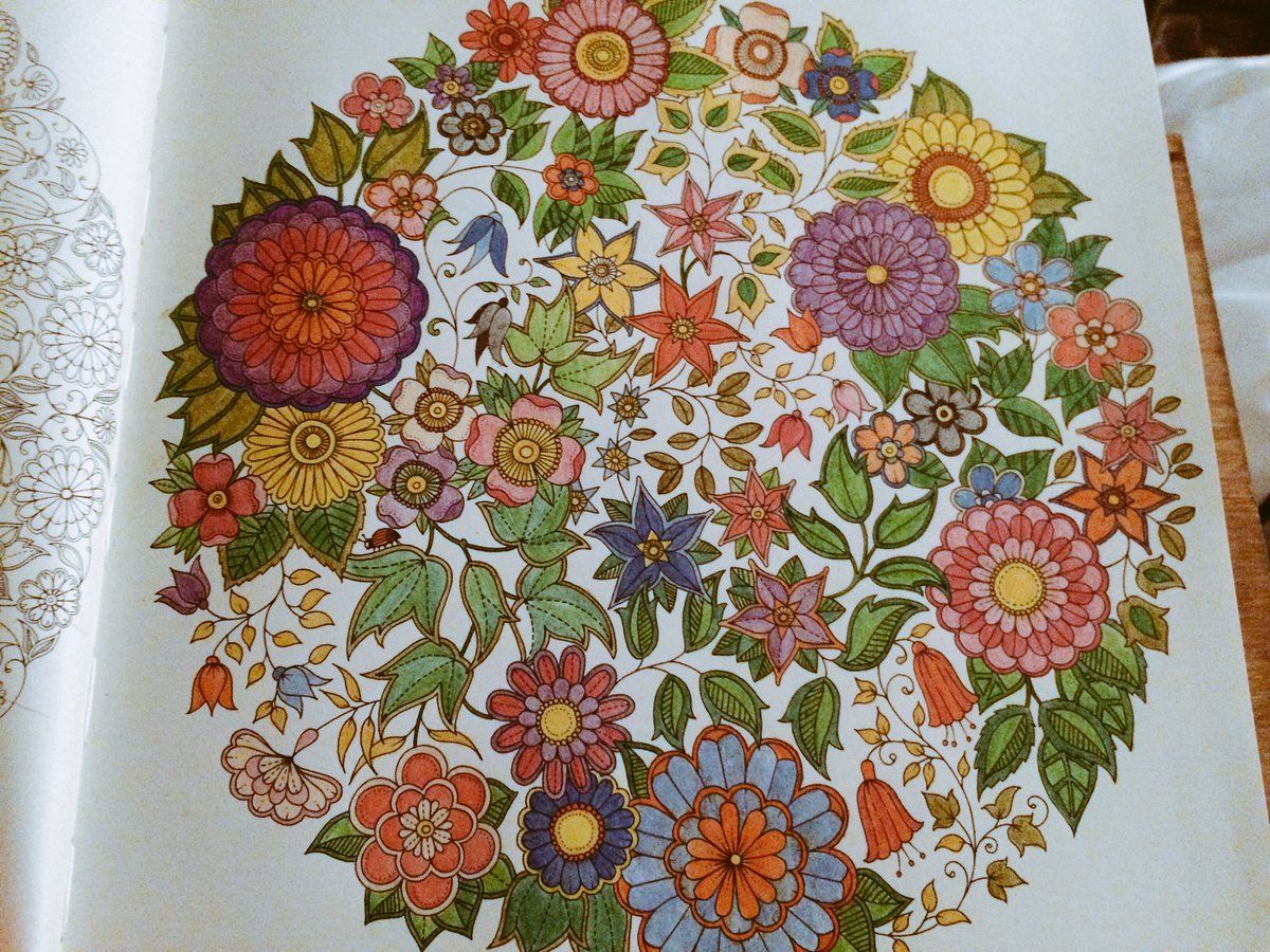 OttawaKD's tweet photo. My summer of 2016 @johannabasford masterpiece. #colouringiscool https://t.co/0meLNxonPW