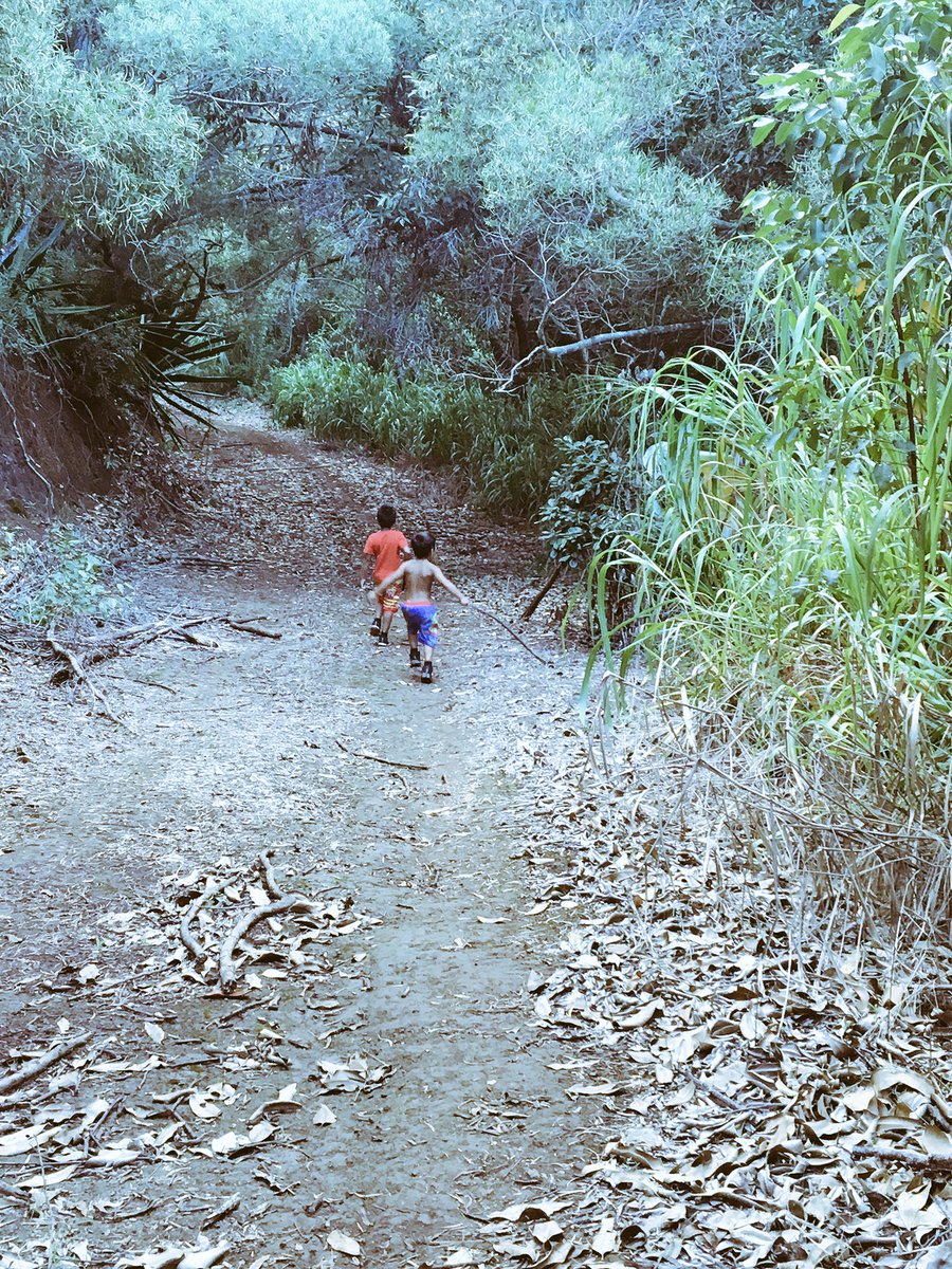 xoalexiarae's tweet photo. Eze and Nainoa went hunting with Unko Malu yesterday. #keikihanauokaaina #danextgeneration https://t.co/dtOC9Jnzxz