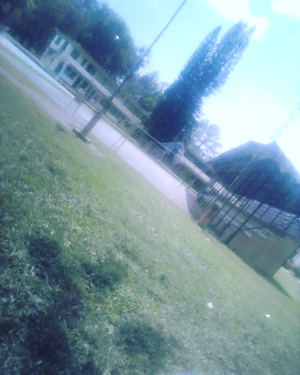 My school