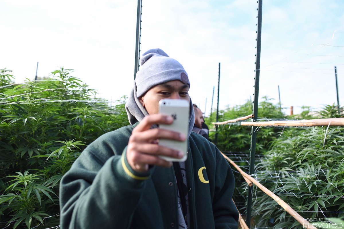 MOelevated's tweet photo. Oregon grown 🌱
#HabituallyElevated https://t.co/1t93P5jPUN
