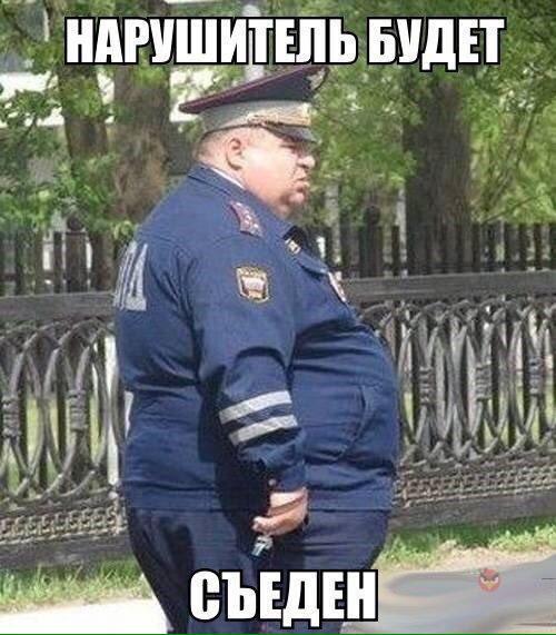 sofiaPRISI's tweet image. Ахахаха