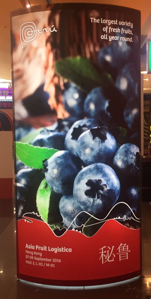FelixxMoritz's tweet photo. Qué bien poder hablar con #agapperu y #Procitrus. Esto no pasa cada día 😊! Bienvenidos a @afcongress #Afc2016 https://t.co/JxZu8DALh1