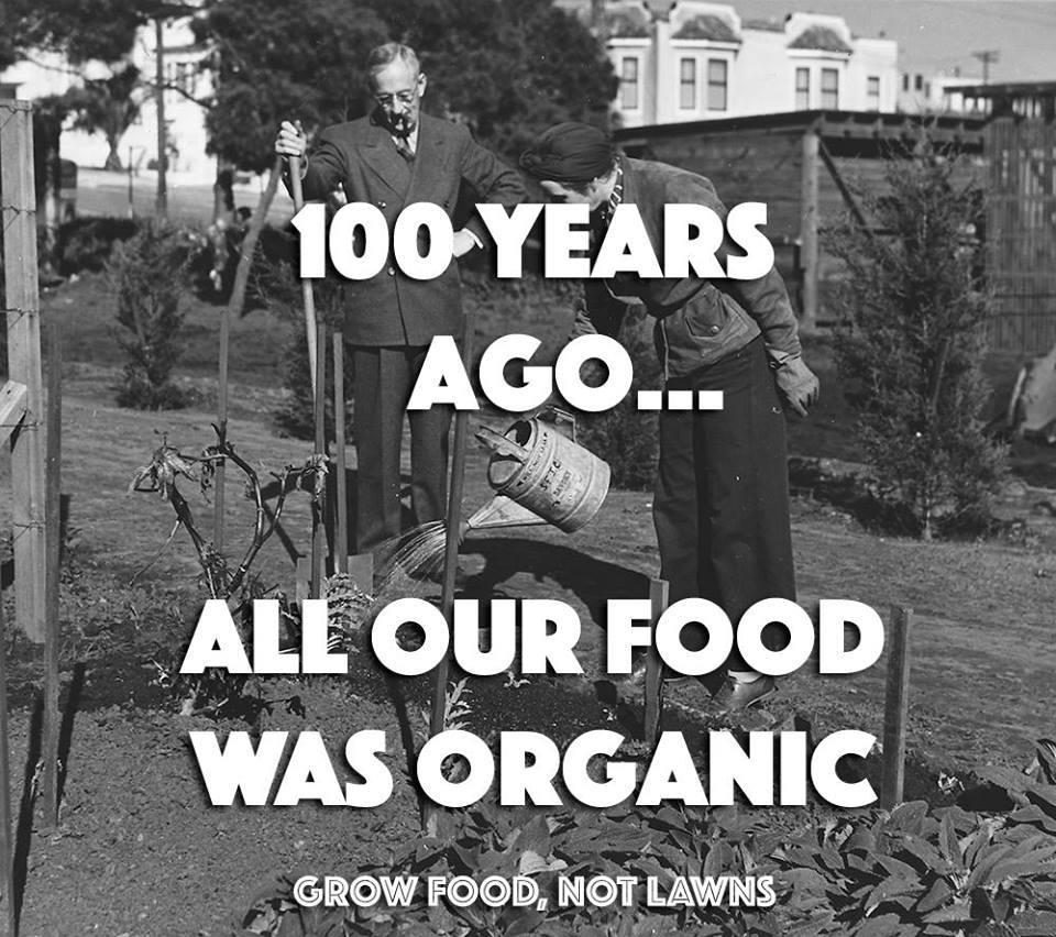 ICanStayHealthy's tweet image. 100 years ago...all our food was organic. #BoycottGMOs
