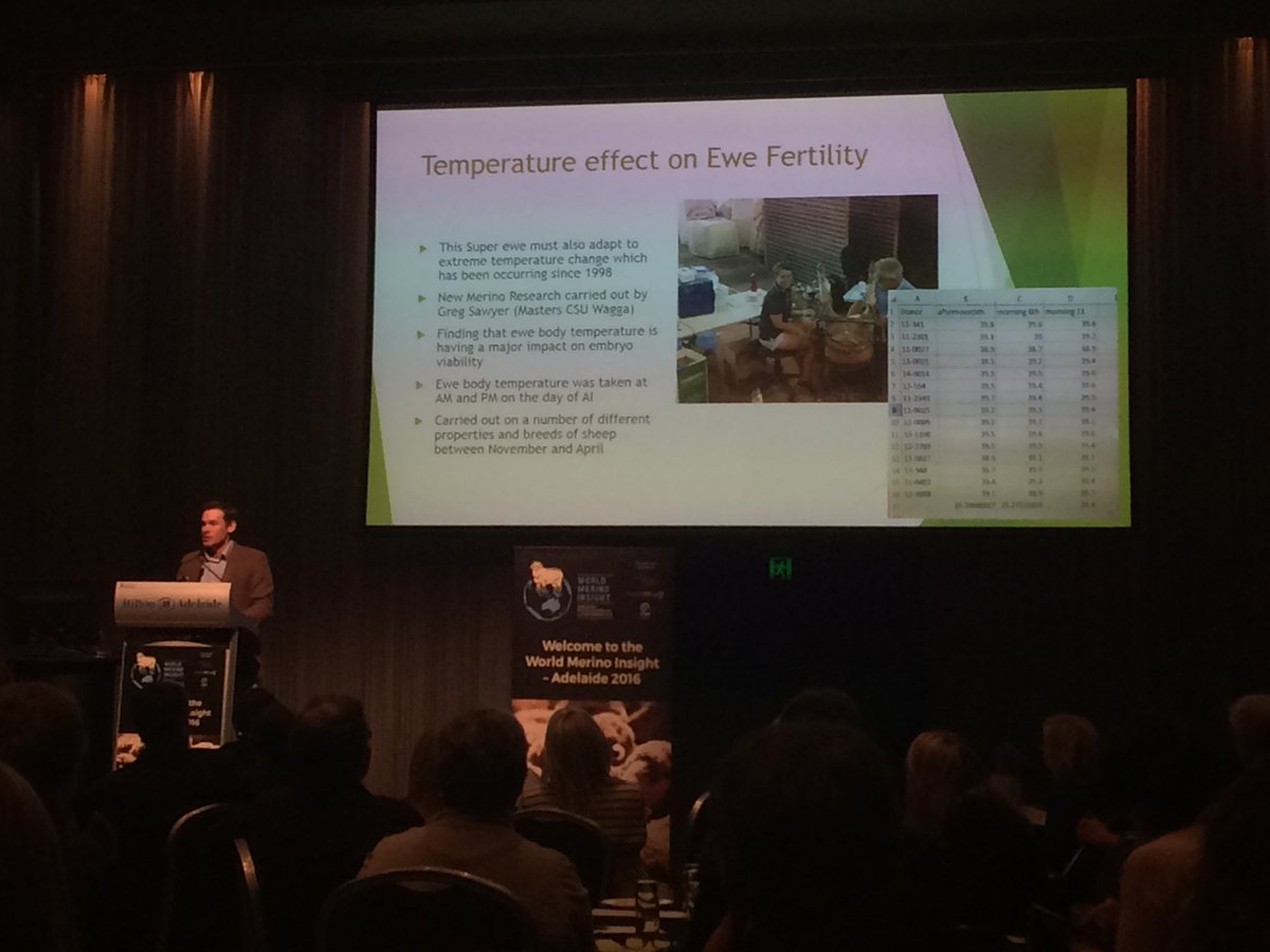 Matthew Coddington describing Greg Sawyers work on ewe body temperature related to fertility