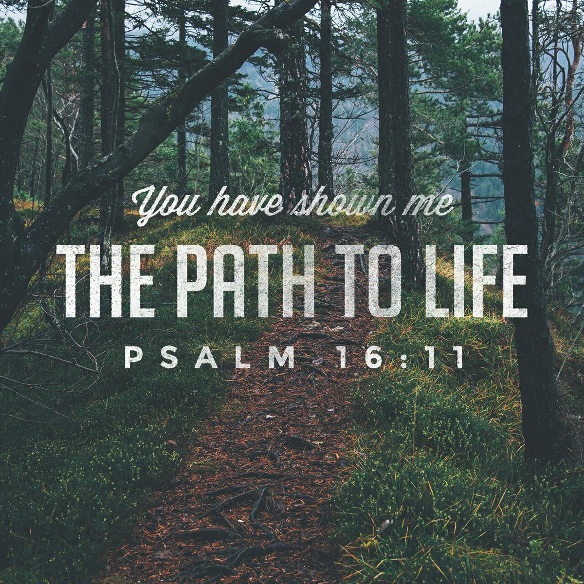 Testimony 4 Tuesday (9/6):
Jesus is qualified to show us the path of life because He is life. #HeIsLife. #16Ps11.