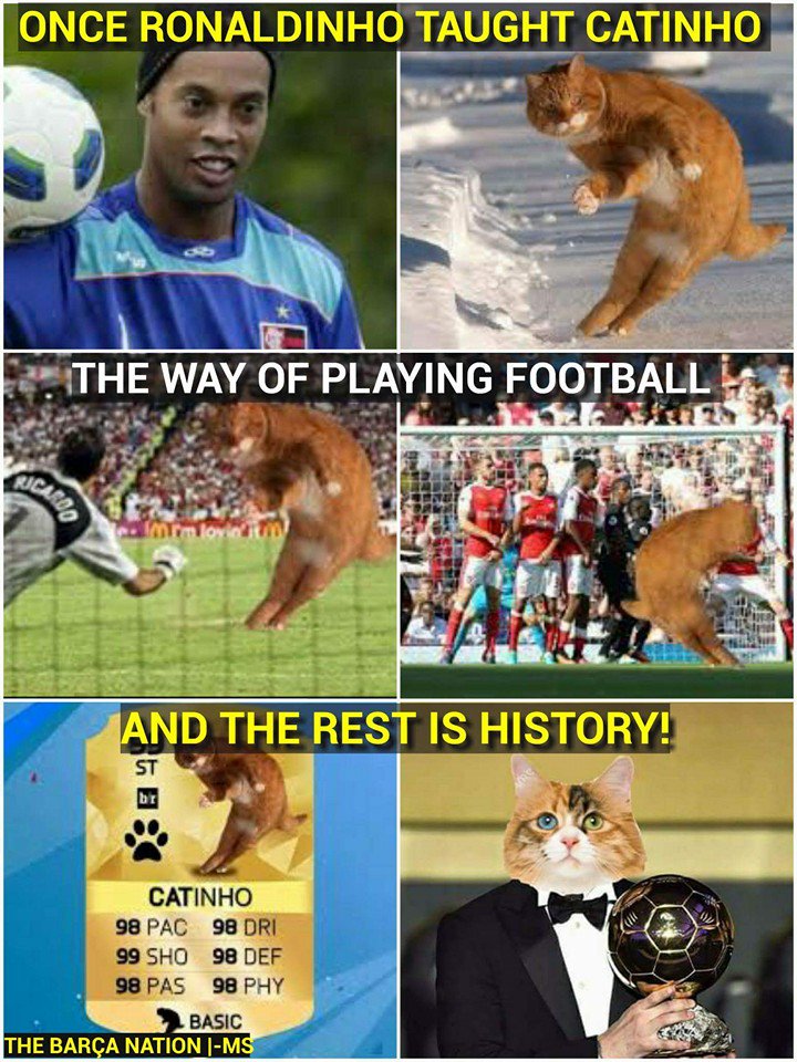 TheFootballFeel's tweet photo. Ronaldinho taught catinho https://t.co/dAAj7kMcCi
