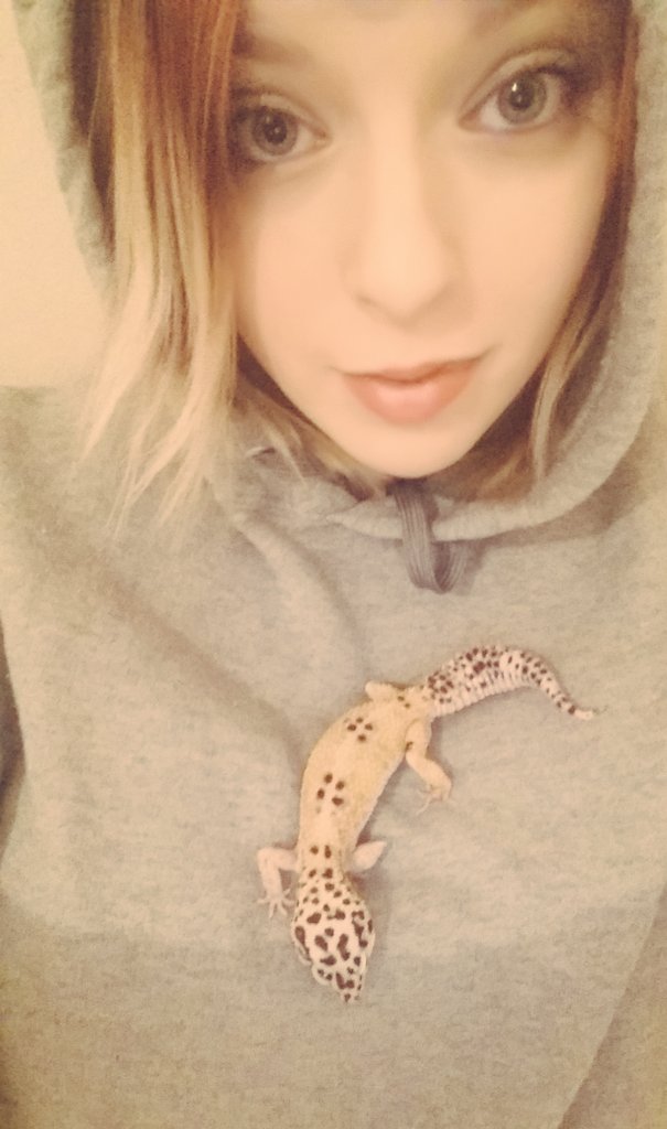 Ragnar_Kingman's tweet image. 