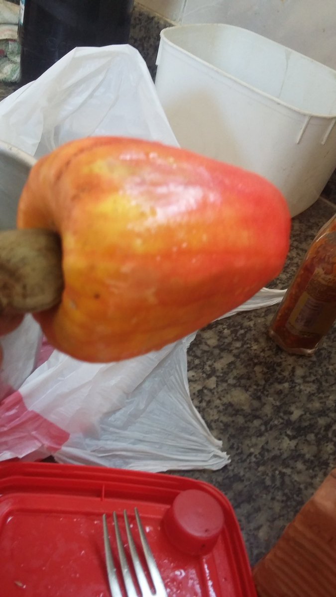 senareformas's tweet photo. Nossa  e  essa  fruta  não  é nativa do Brasil? https://t.co/oYISyddb8m