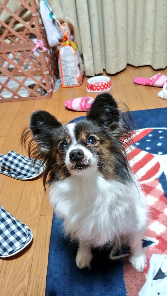 トモ サイアンドコー Tomoyankun0730 Twitter トモ サイアンドコー Tomoyankun0730 Twitter