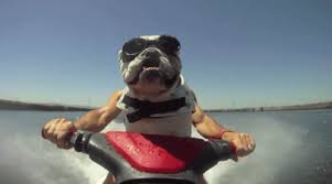 Никогда не суди о летнем курорте по почтовым открыткам )