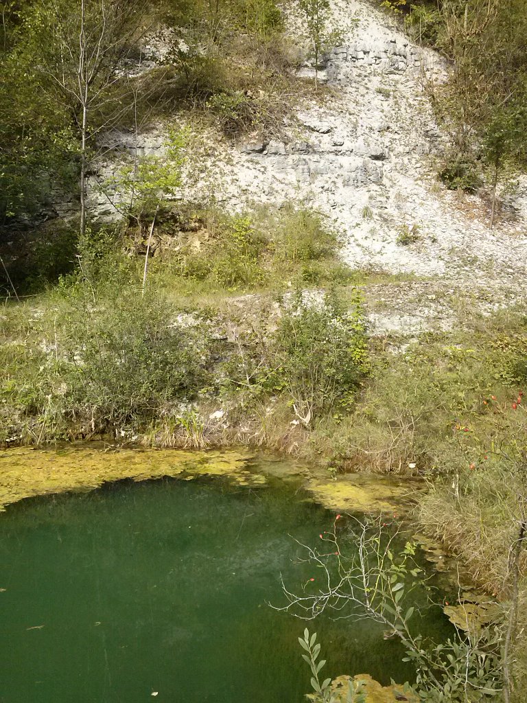 Steengroeve #Winterswijk <a href="/staatsbosbeheer/">Staatsbosbeheer</a> afgelopen vrijdag: unieke plek in Nederland! #landschap #geologie