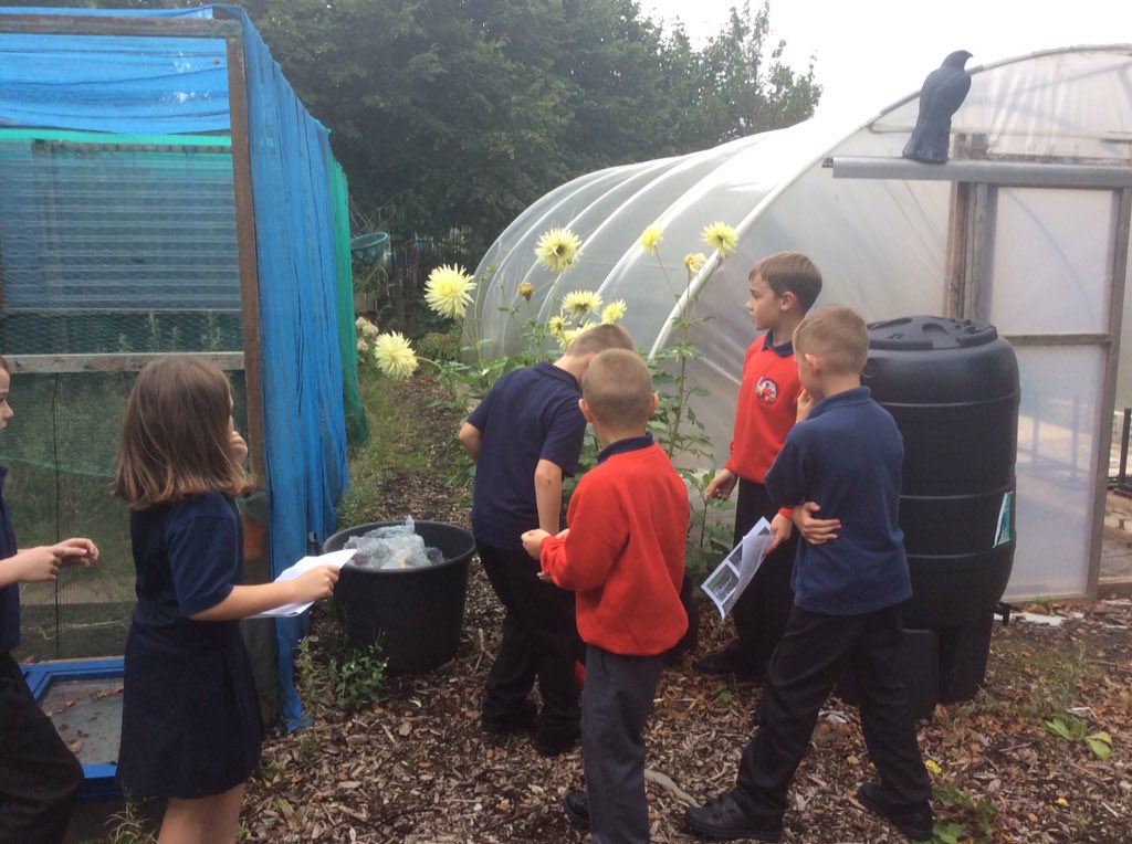 claresowa's tweet photo. Year 4 are investigating the missing artefacts! https://t.co/b15CwV9M7Y