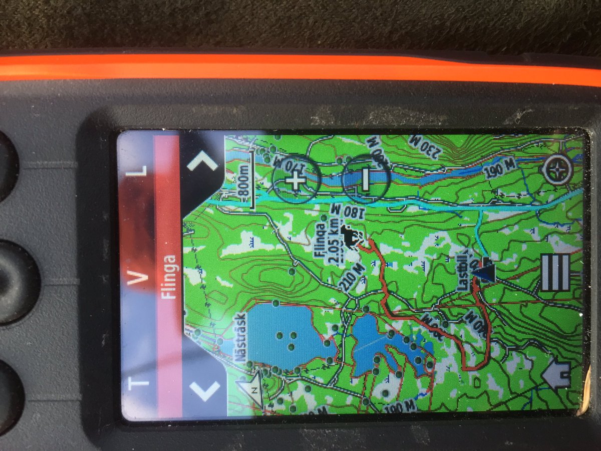 Flinga håller i sin älg men den smiter så småningom över älven. Denna hund kommer att bli såå bra❤️