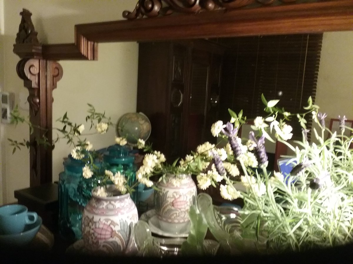 saaem's tweet image. Italian Lavender and Banksia Rose, heavenly fragrance. #SpringInAustralia #flowers #beautifuldays #happiness