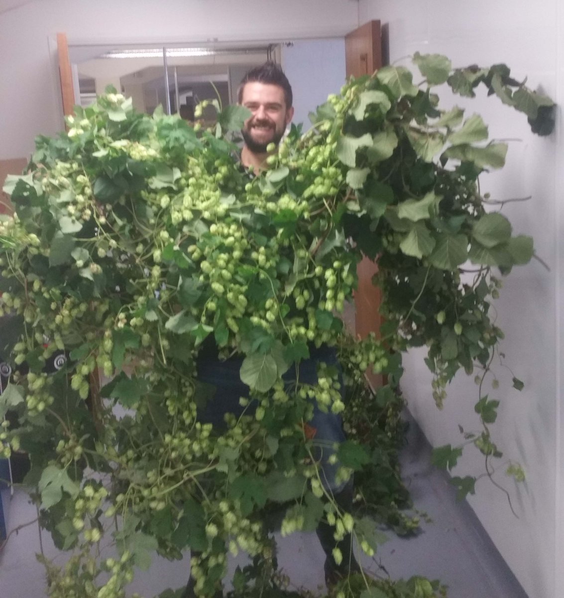 @Jimthebrewer is so in to his hops he grows bines instead of chest hair :-)