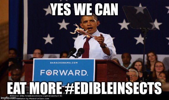 .<a href="/RNAeatsbugs/">RNAeatsBugs</a> Imagine if #SXSLawn had #edibleinsects on menu...ATX can bring it! #EntoATX 

x.com/rnaeatsbugs/st…