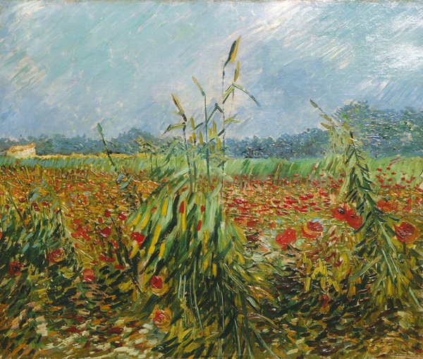 ebruduvenci's tweet photo. #VincentVanGogh Vincent van Gogh, Corn Fields and Poppies (Green Ears of Wheat), 1888, #VanGogh https://t.co/akey9ZuqqY