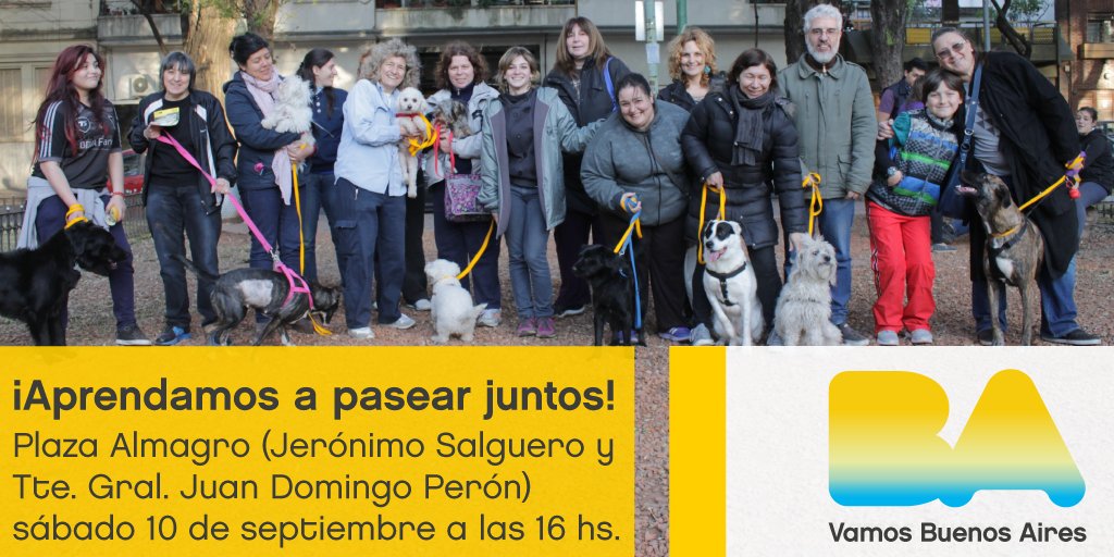 Animales BA tweet media