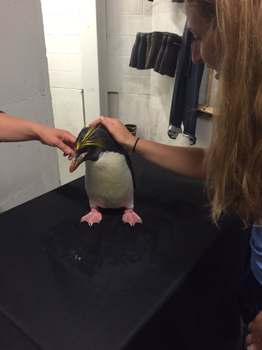 Matt Bartkowski tweet media