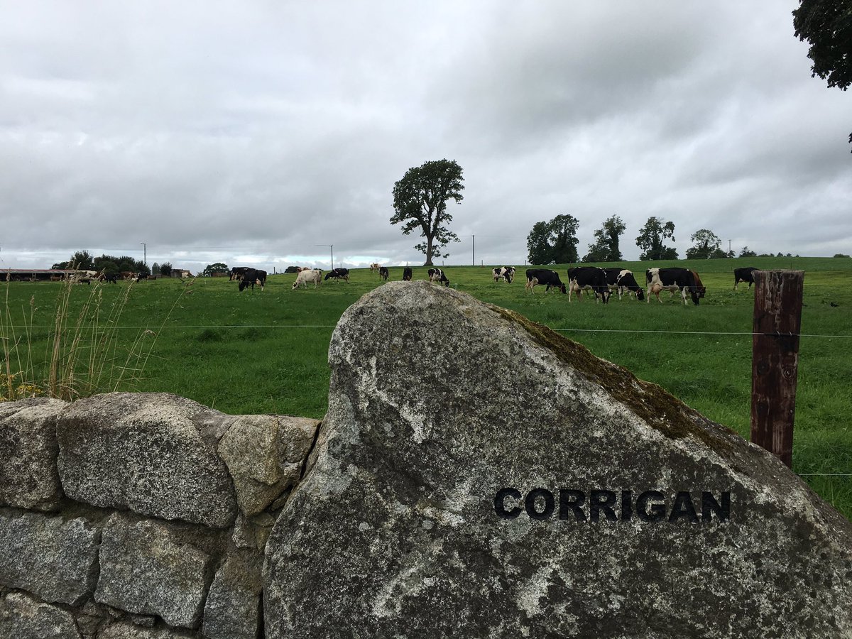 LelySouthEast's tweet image. Thanks to the Corrigan family for facilitating our monthly #LelyRobot discussion group for customers. #Community