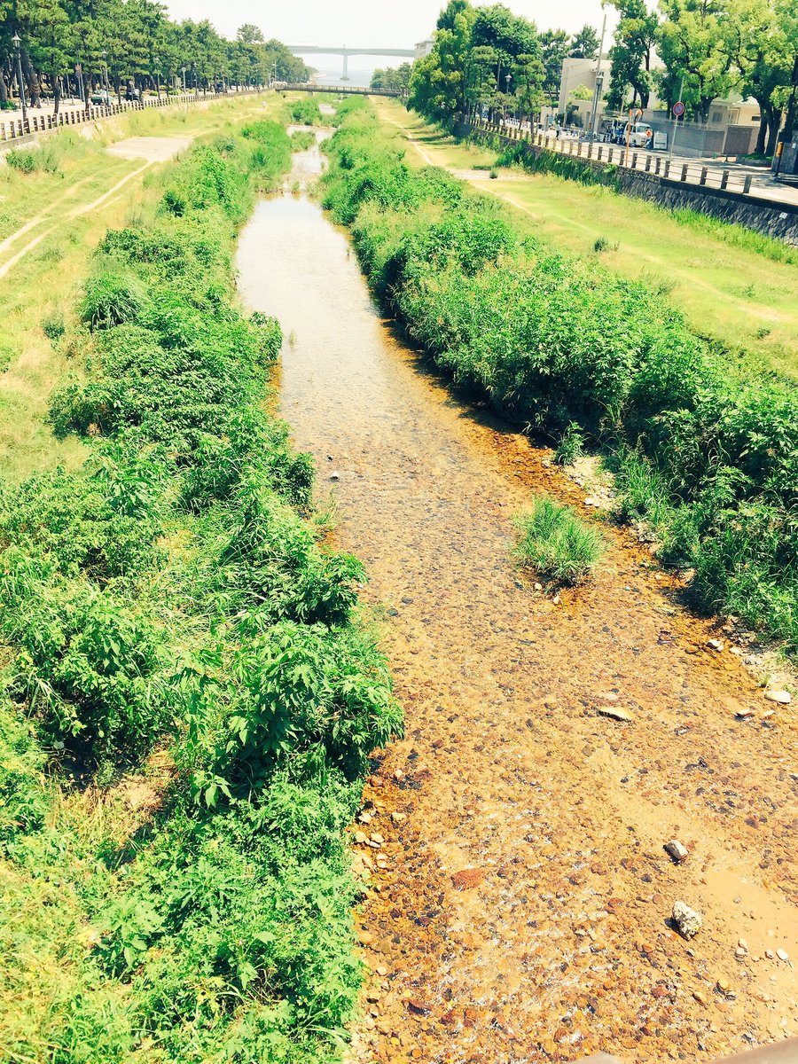 fish_yodoriver's tweet photo. iPhoneで撮ったんですけど〜、どっちの方が良いですかね〜？？？ https://t.co/bV5Mm3i41P
