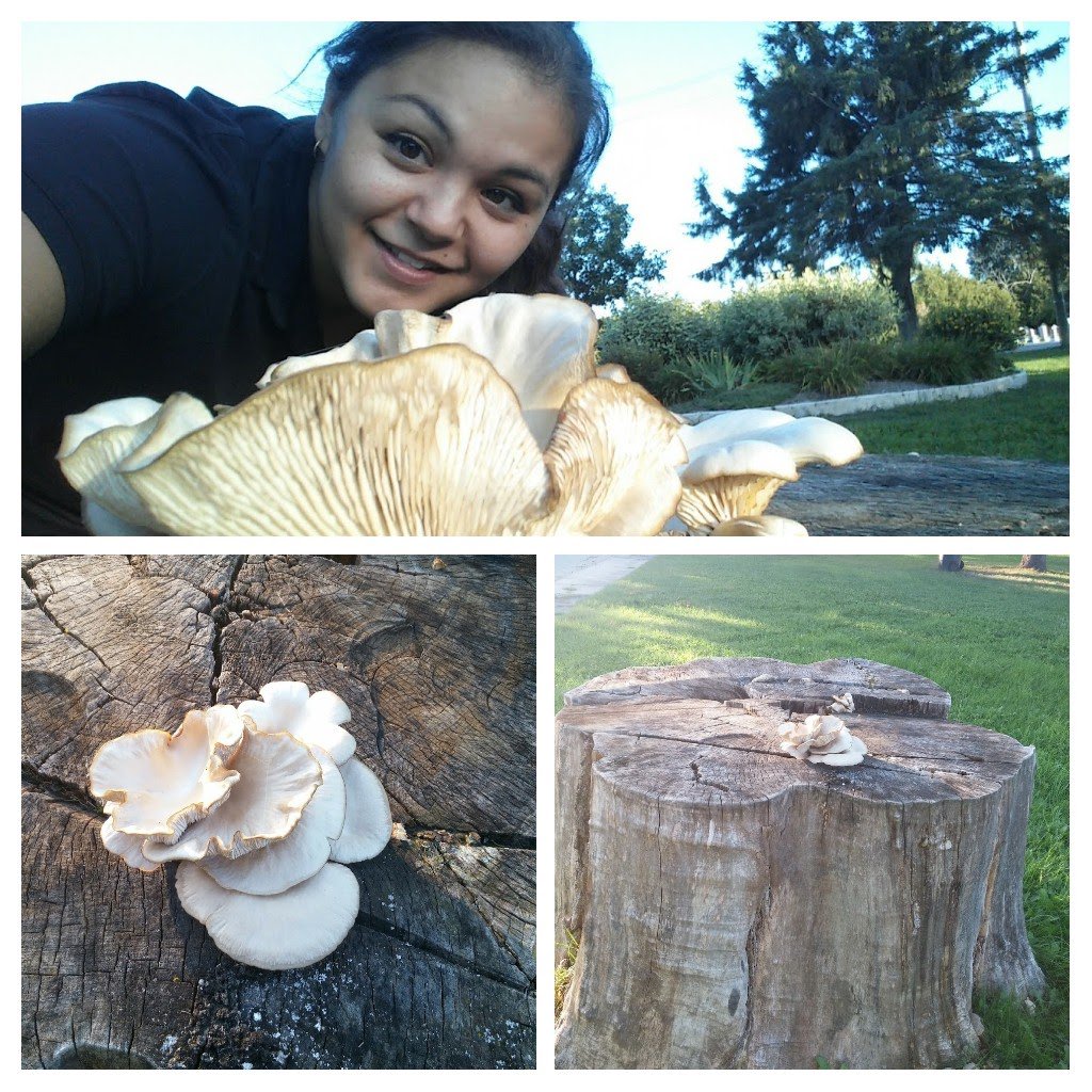 Dominique Thériault tweet media