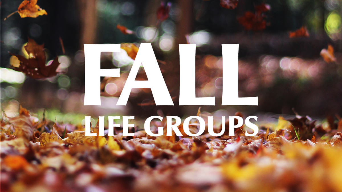 WordofLifeAG's tweet photo. We believe life change happens best in small groups.  Join a group today!
https://t.co/Ngk86UTEHW https://t.co/jlISypEaXT