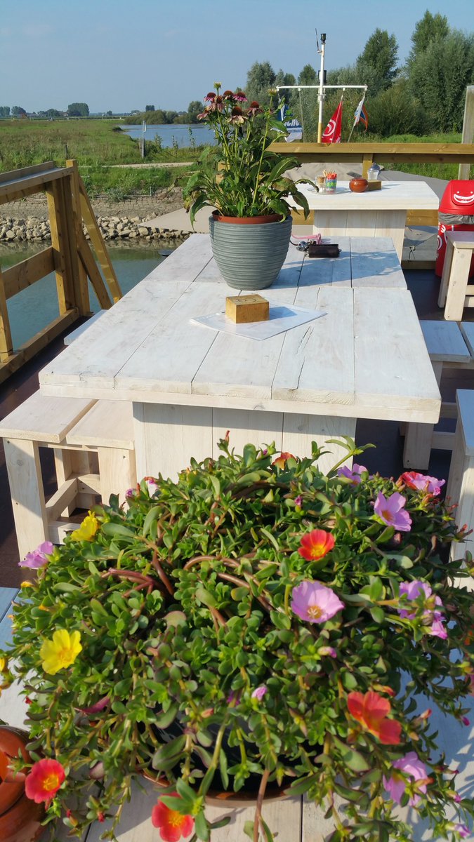 mianijland's tweet photo. Leueueuek!!!!! Nu al!!! @rivercafewijhe https://t.co/7TH4eALdGP