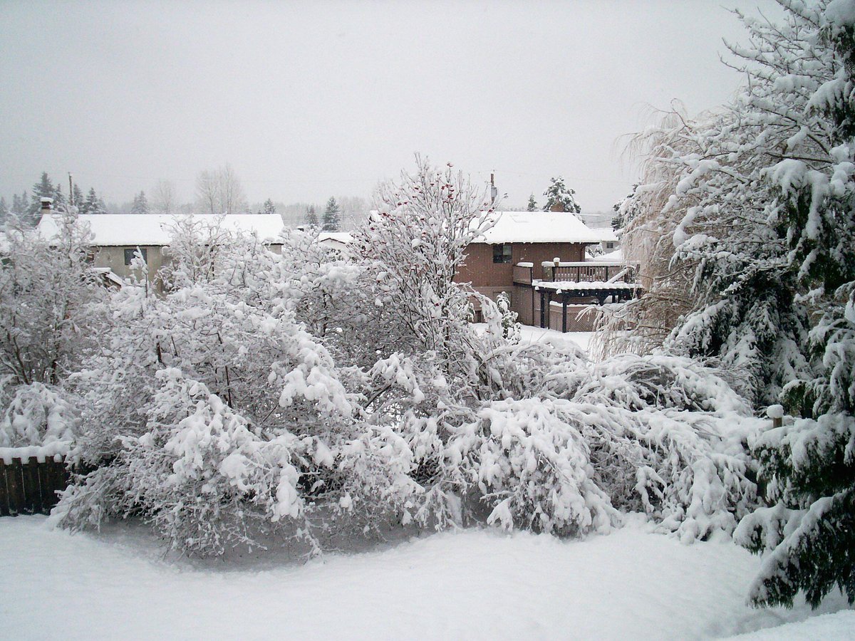 halfacandy's tweet image. Another dull day in the valley. Can't complain, winter is on it's way and I'm not looking forward to it.