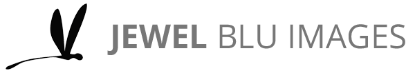 jwlblu_images's tweet photo. Have a look at my new website! https://t.co/ocoehWyYFO ! https://t.co/0pdCpbYR4S