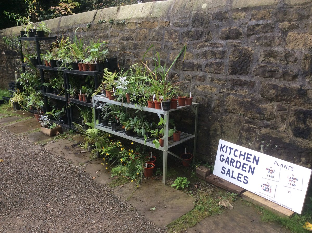 Turton TK Garden tweet media