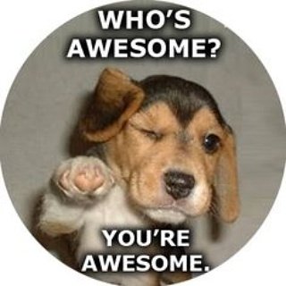 GogettersclubGo's tweet photo. #gogettersclub #inspirationalquotes #makeithappen https://t.co/wpMQ3VP3kv