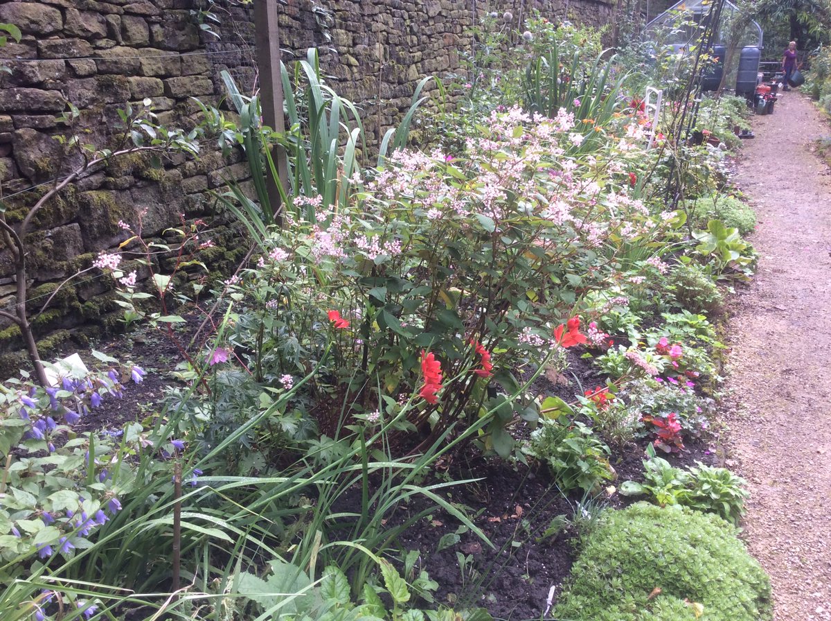 Turton TK Garden tweet media