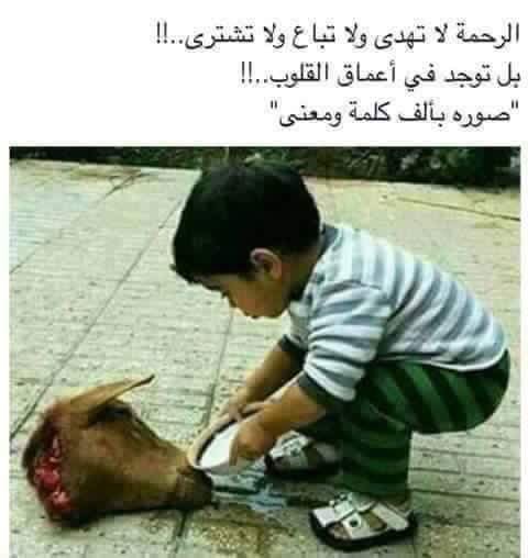 صوره بالف كلمه #حسام