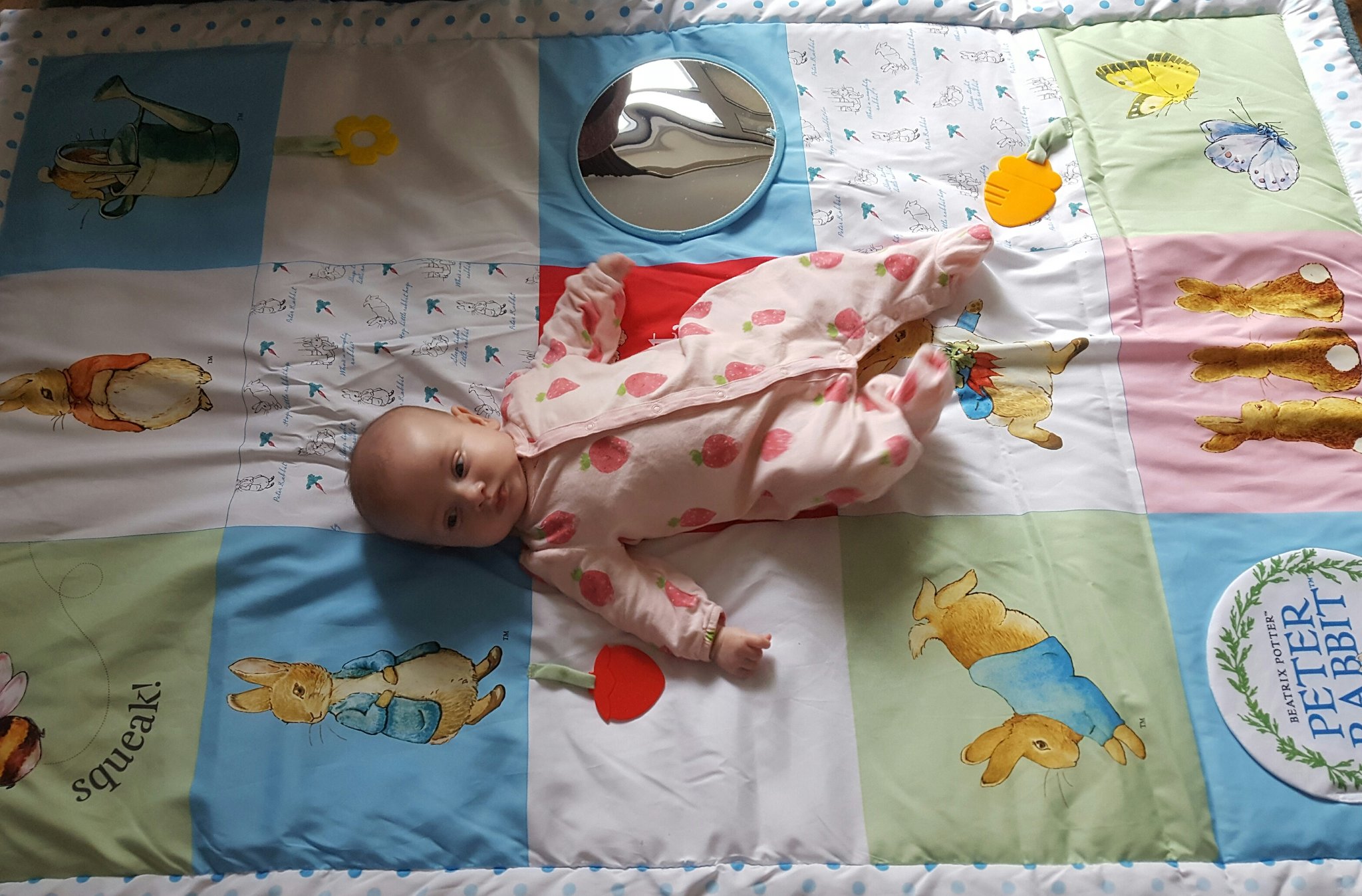 peter rabbit activity mat