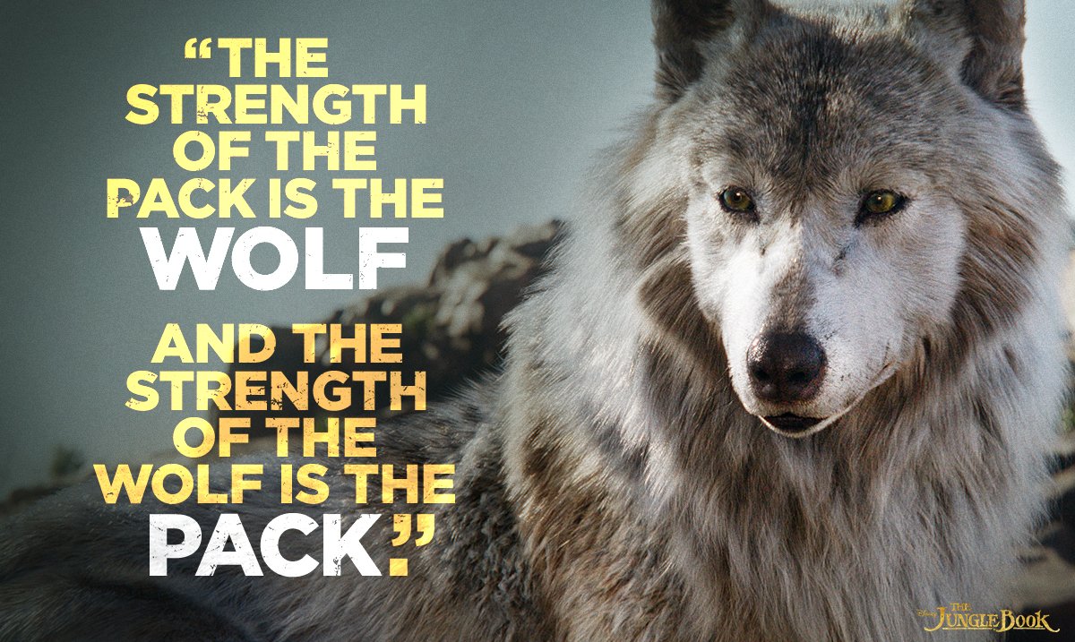 Always remember. #JungleBook