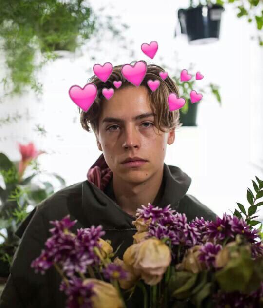 colewithearts's tweet image. 