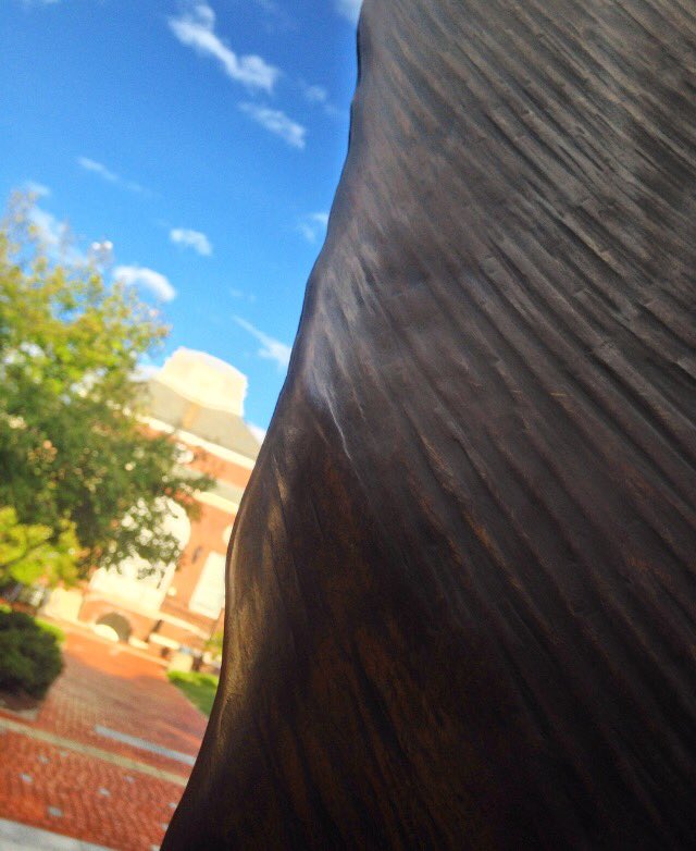 BlueHenAlexH's tweet photo. "Make your mark" on campus... Do you know where this #UDUpClose is located? https://t.co/ioDwhMpszf