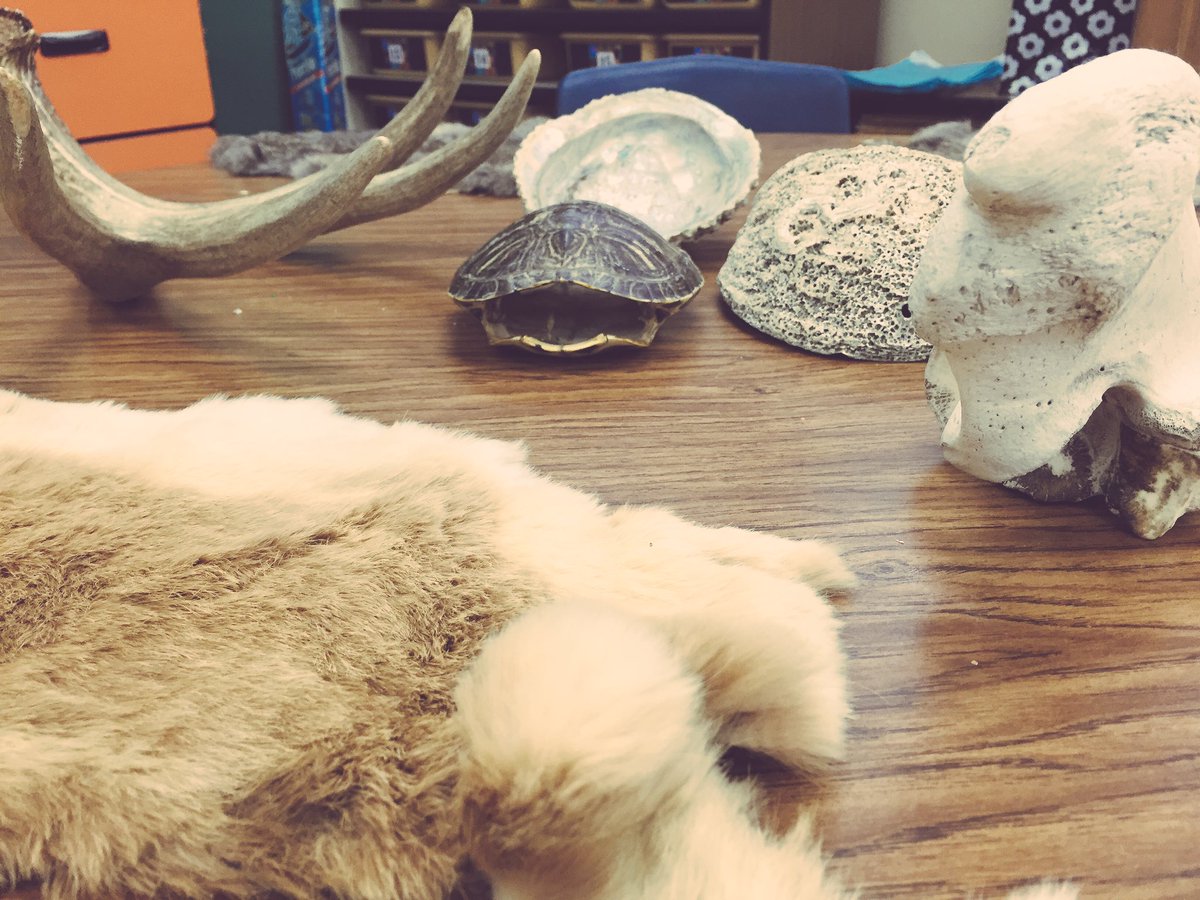 NBPrincipal's tweet photo. We know that exploration begins with hands-on evidence and artifacts! #ignitealoveoflearning #eusdlearns https://t.co/8E6VUD86EB
