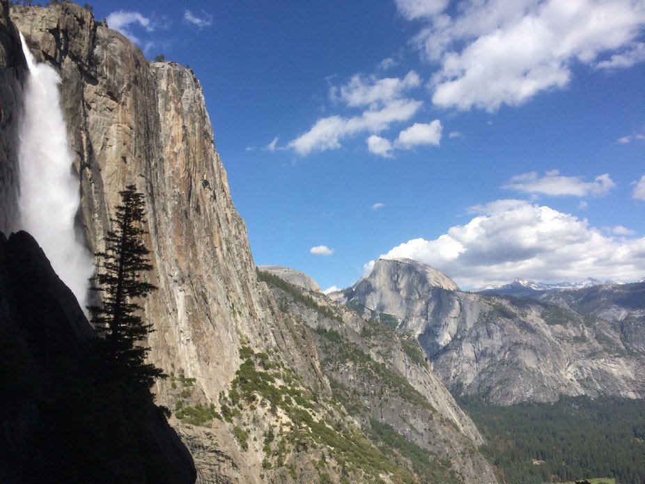 ClimateNPS's tweet photo. How is climate change currently affecting our national parks? https://t.co/jk4j2J9yyX https://t.co/cH7L4LKIdB