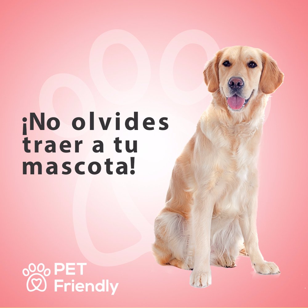 CCRealCenter's tweet photo. #Mascota #SoyRealCenter https://t.co/cGyinF9EaU
