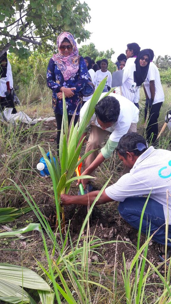 AWDI2007's tweet image. Starting GEF SGP project.