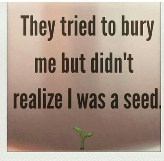 gary_hensel's tweet photo. #TuesdayMotivation https://t.co/Q7uhLFmgHB