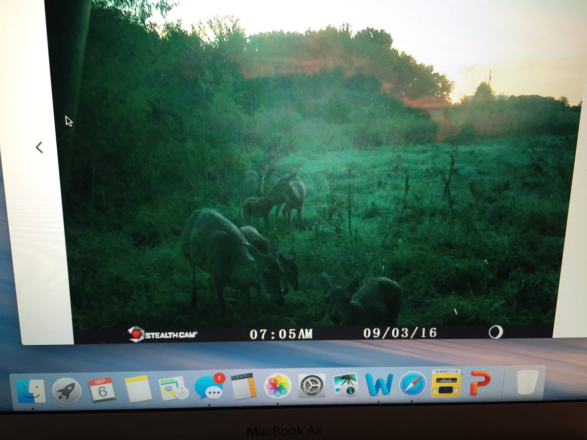 Spentshell918's tweet image. 