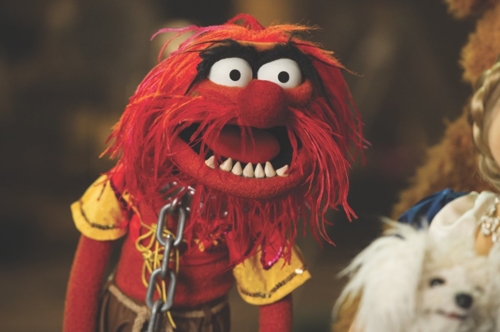 The Muppets (TheMuppets) Twitter