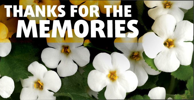 SmartDrugSmarts's tweet image. Bacopa Monnieri With Professor Con Stough @ProfConStough bit.ly/1SzIgrw #staysmart